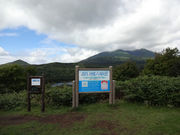 Ⴑ̔l̋uiYW]j̓eʐ^1