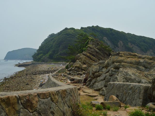 �Փ��ւ̓��B_�F�P��