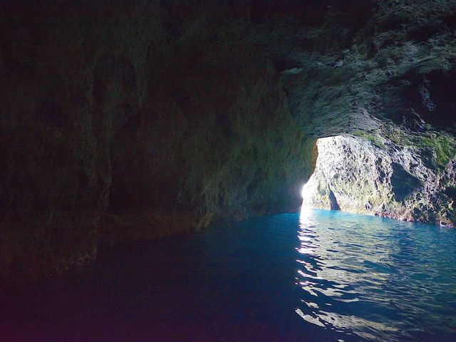 �̓��A������o��_���M�̓��A�@���{�N���[�Y