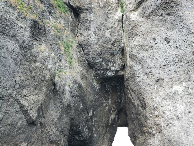 �̓��A�O�̖ڈ�_���M�̓��A�@���{�N���[�Y