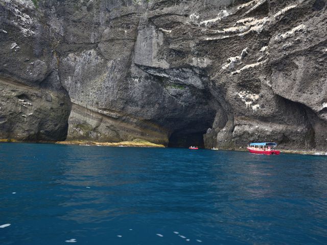 �̓��A�����_���M�̓��A�@���{�N���[�Y