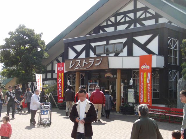 XgAŔĂXyAuHׂ܂B_ʎ{q@TC{NK[f΂̂Ђ