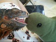 �g�`�m�`�����঒��ރJ�t�F ROCK STAR ���b�N�X�^�[�̓��e�ʐ^1