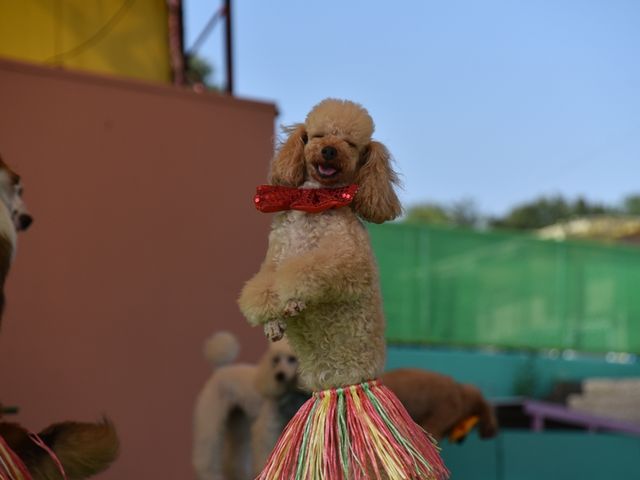 yɏ΂Ă܂B_΂񃉃h