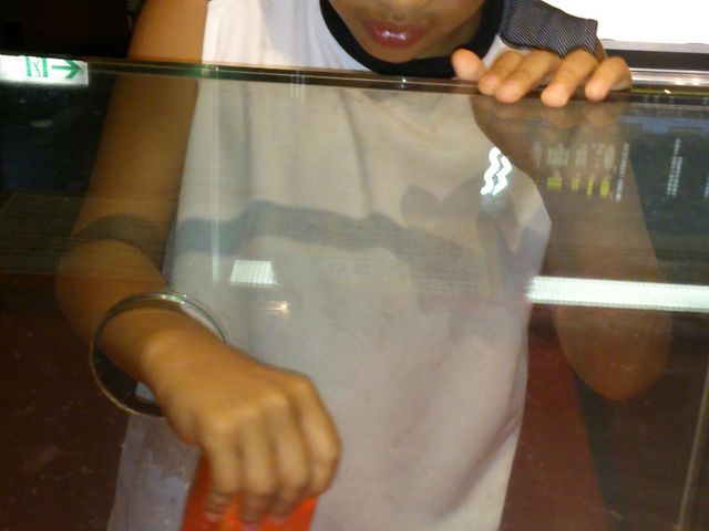 ���̉��ז_�ɐG���Ȃ�ā�q���ł����X���Ȃ����ǁA�`�������W�͊y������`��_���n���R���