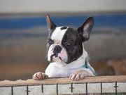 ʂ̂΂񃉃h̓eʐ^1