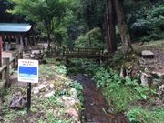 [̒擌Ƌ{i殐_Ёjsz^̗̓eʐ^3