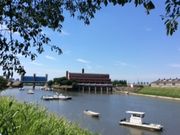 neko܂̓ss_ƌ̓eʐ^1