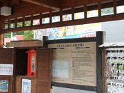 ܂̑̂ӂꂠY̓̓eʐ^1