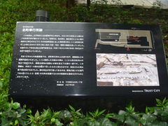 �g�V���[����̖k����s���Ղւ̓��e�ʐ^1