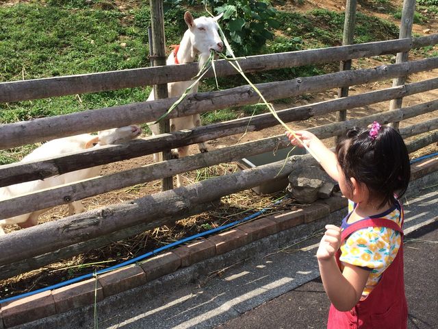 �Ȃ��Ȃ��͋����Ăт�����I_�ق킢�ƃt�@�[��