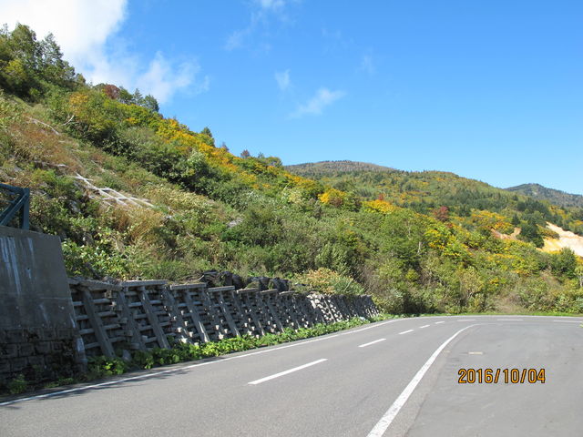 �A�X�s�[�f���C��_������