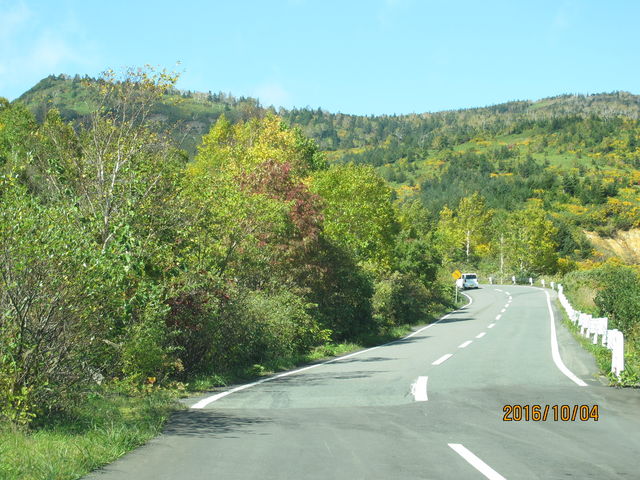 �A�X�s�[�f���C��_������