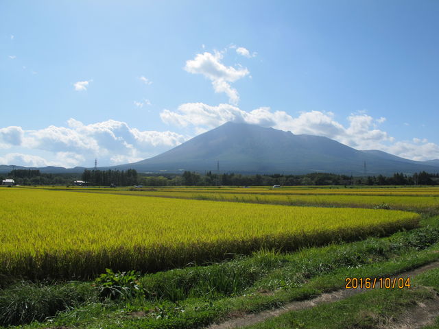 ���R_������