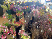 tJAt݂炢_Y傢?KuX̓eʐ^2