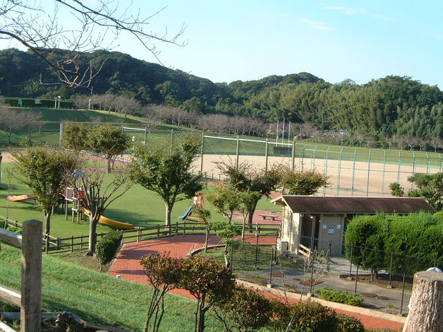 Ԃ񂳂݂̂߂̋̓eʐ^2