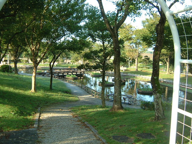 Ԃ񂳂̕Îs^iȂ܂̋j̓eʐ^3