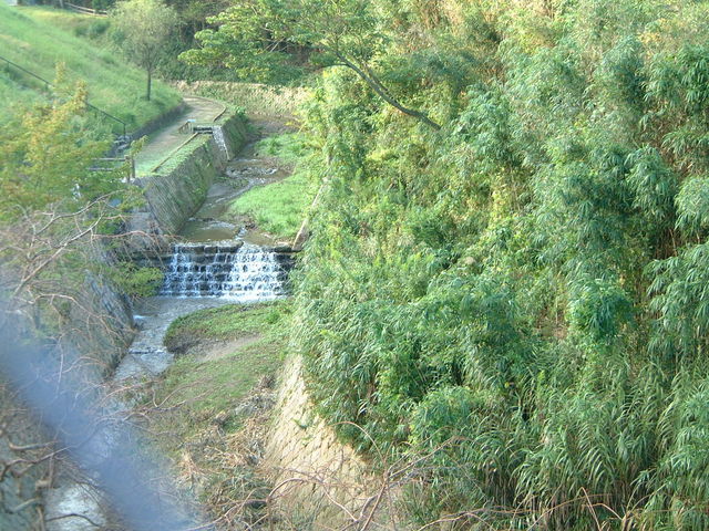 ��_�{�ؐ쎩�R���� �ق���̗�