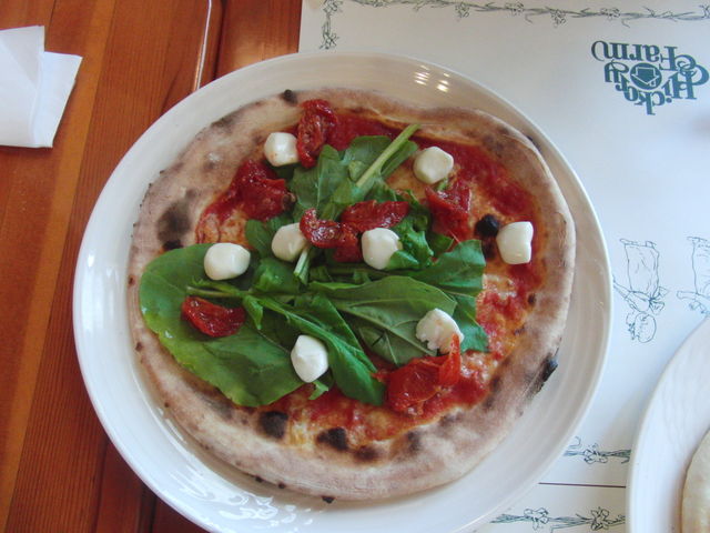 p[bc@ƃbR̃}K[^_I[hqbR[ auX