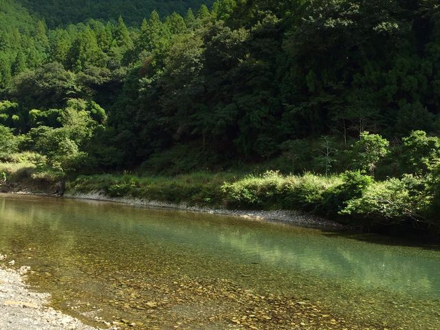 �����j����_�쓒����