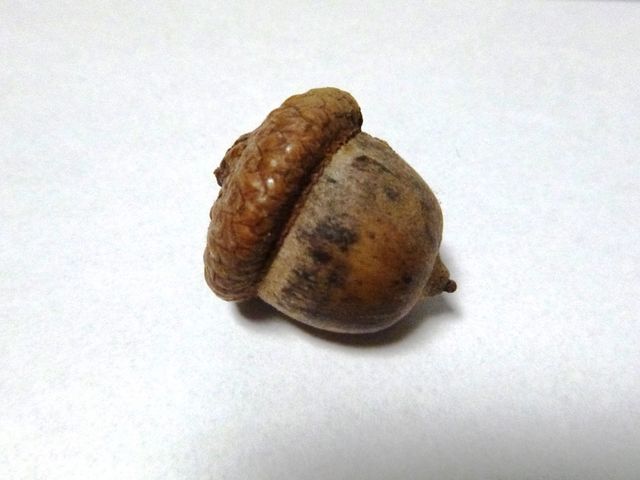 �A�J�i���̂ǂ񂮂�_�k��C�`���E����