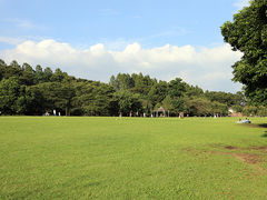 TOMAKI����̂������܎s�@�s���̐X�ւ̓��e�ʐ^1