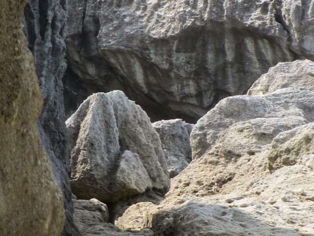 ��̑��`_�咬�j�����w��