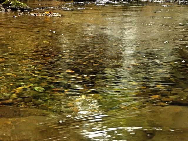 ���܂ł������茩�鎖�̏o����L���C�Ȑ��B_���a�̑�