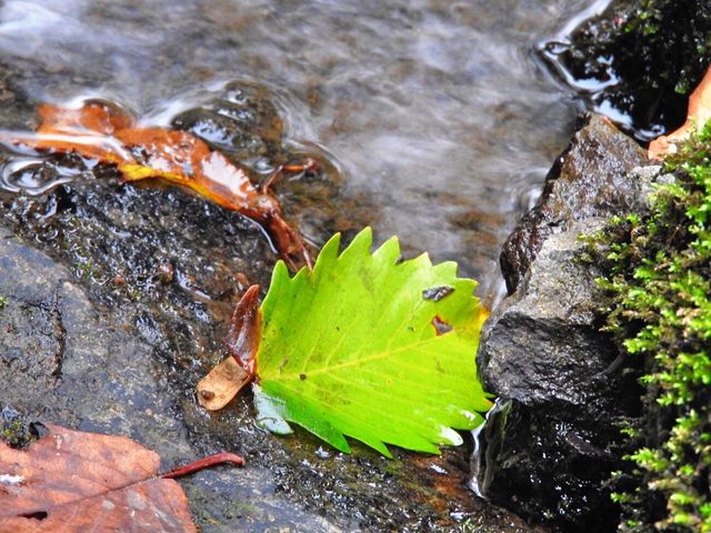 ��ʂɎ�̓͂������ȏ��܂ŋߕt�����Ƃ͏o���܂����A���ꂪ��������Ȃ��̂Ŋ댯�ł��B_���a�̑�