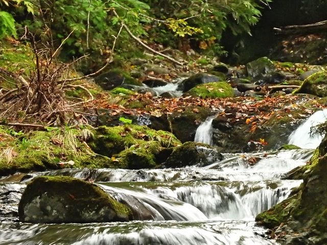 ��։����K�i�̓r������́A����ɏ㗬�����n�����Ƃ��ł��܂��B_���a�̑�