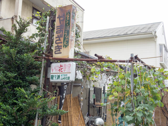 ނ͂ĂƂ̎R肤ǂX̓eʐ^1