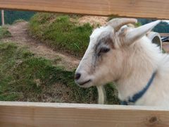 qQop̑]mRq`RRK[fւ̓eʐ^1