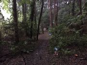 ł񂷂̐_ސ썑ۃtB[hA[`F[̓eʐ^3