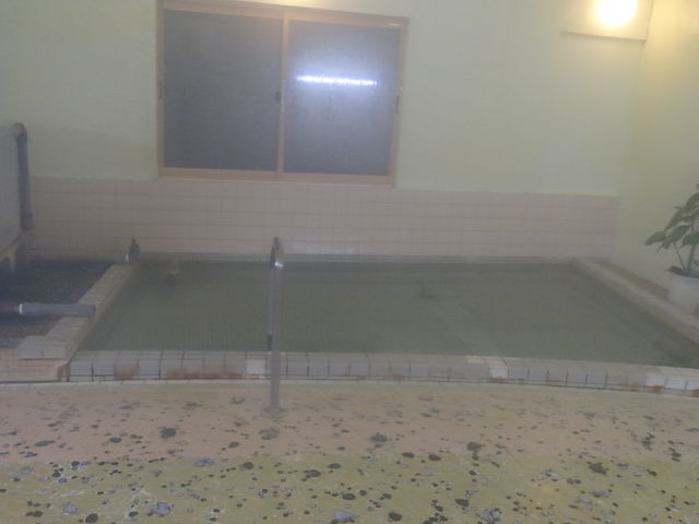 �����i�킫�ɃS���̖؁j_�s�ˉ���