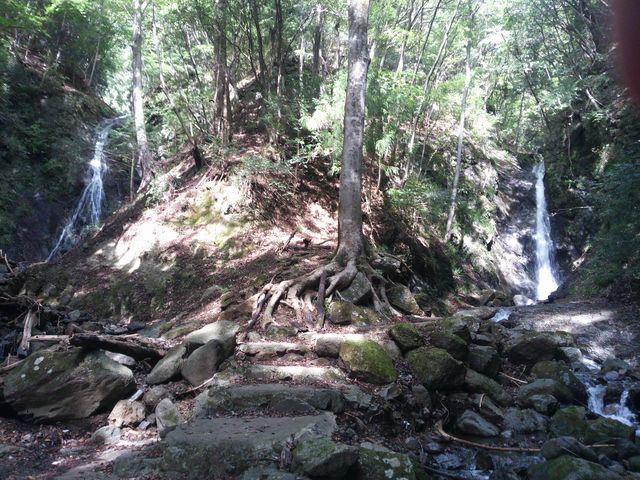 �Y��E����