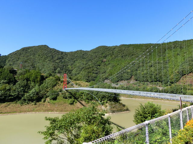 大きな吊り橋_グリーンパーク椿山