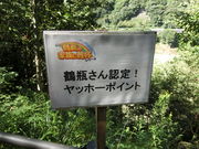 傳̃O[p[N֎R̓eʐ^5