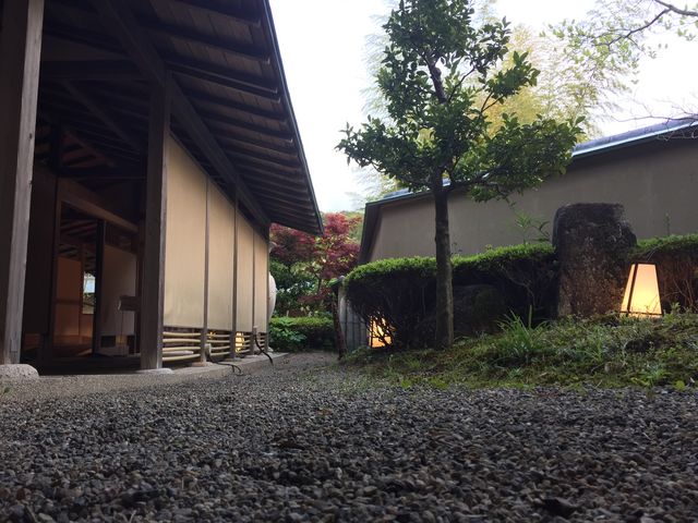 IVɍs܂ł̒B_TY@IG̗