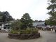 キヨさんの照厳寺への投稿写真2