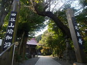 unlimited̓cJ̓Ai򎛋j̓eʐ^2