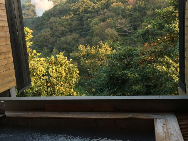 �w�I�V���C_�L��̓��@�W�]�I�V���C