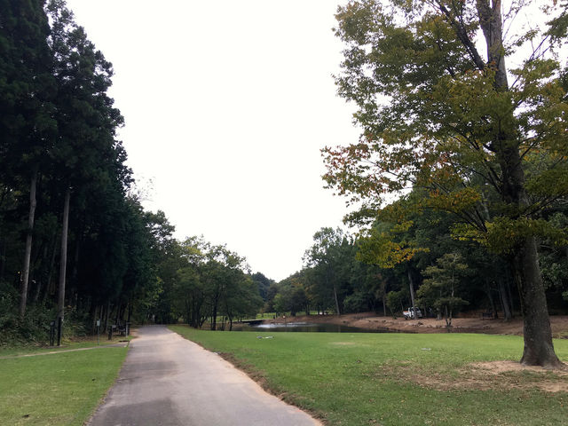 ���ӂ̍L��_���Ñn��̐X