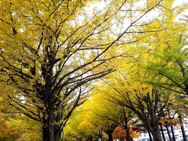 �ʂ�ƌ������t��������_�k��C�`���E����