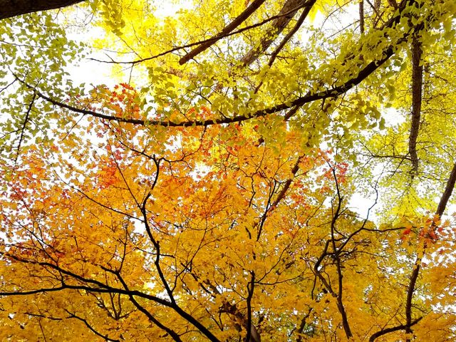 �ʂ�ƌ������t��������_�k��C�`���E����