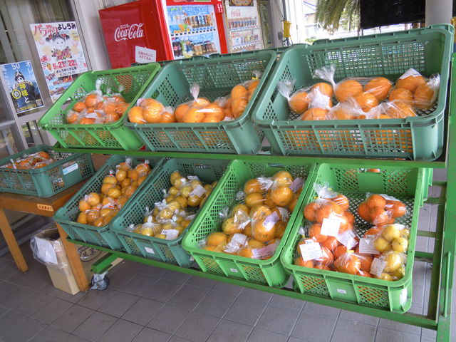 ݂قςρ􂳂̓̉w SECp[Nu}IAVX͂v̓eʐ^3