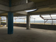 tommy̖kWÃr[`̓eʐ^5