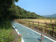 Ԃ񂳂̉E@]ԓH̓eʐ^1