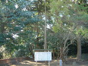 Ԃ񂳂̃Ck}LVRт̓eʐ^1