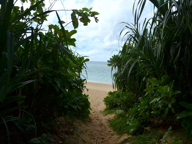 Cɍs܂łɃWÔ悤ȔʂĂ܂_Ί_TZbgr[`