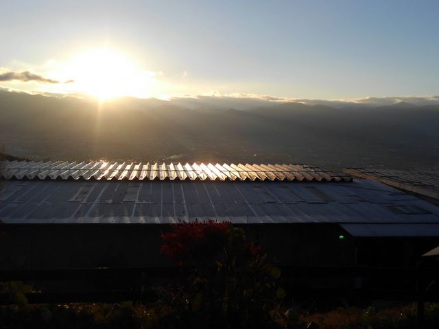 11����{�@�U���S�T������_�ق����炩������